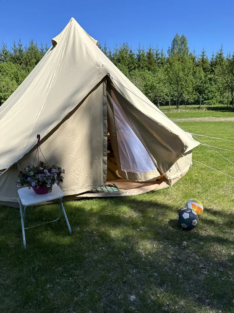 Glamping tent on the Susimetsa meadow