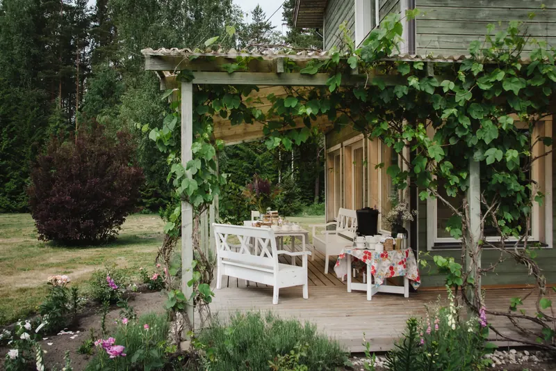 Set table under a leafy pergola on the terrace