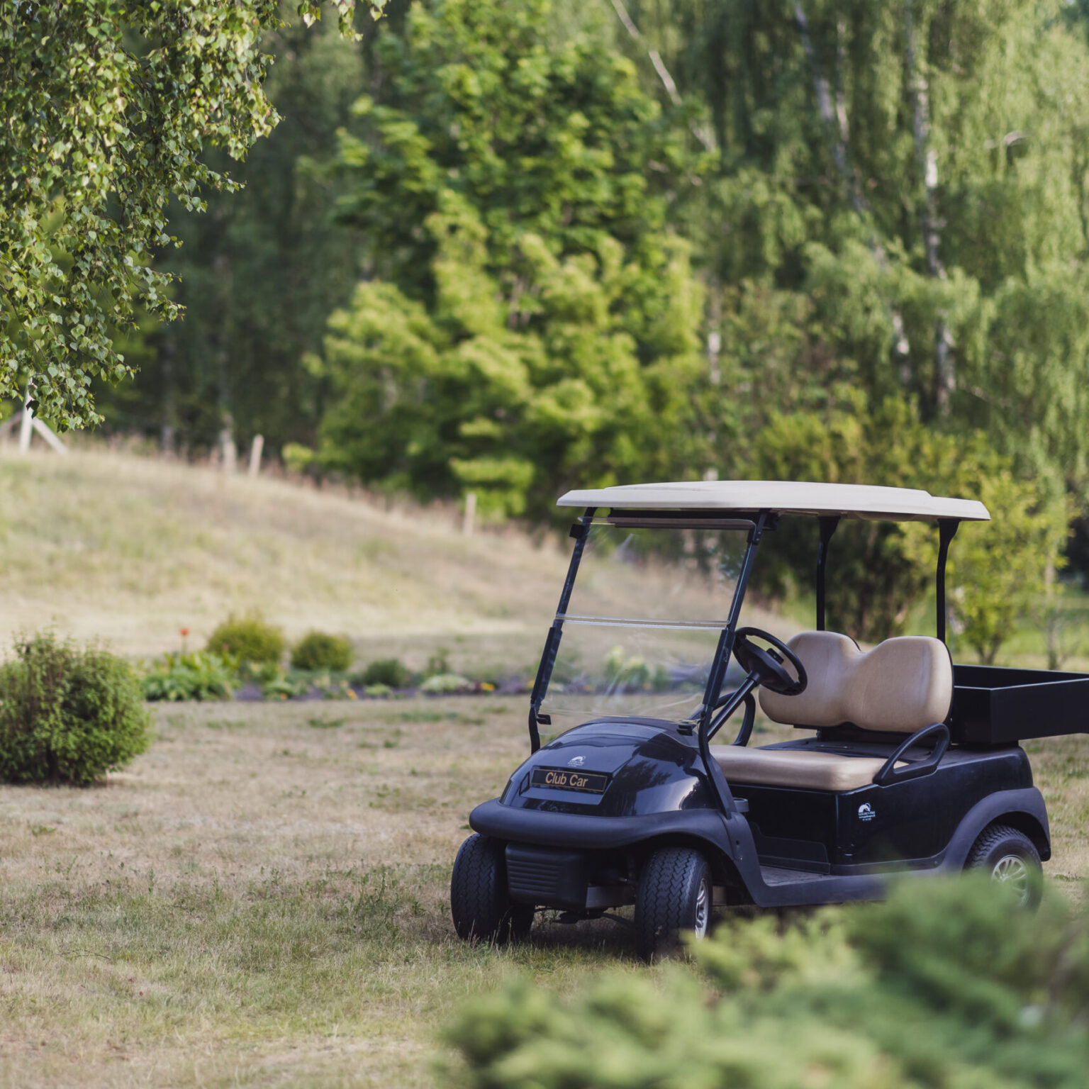 Golf cart