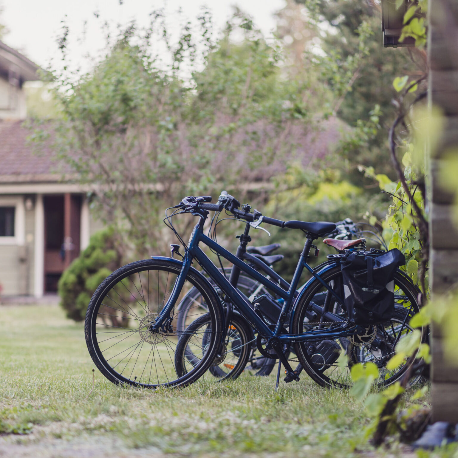 Set of bikes