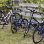 15Jun2023_211951_IMG_3073_photoSilverGutmann